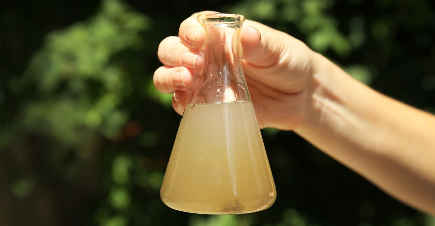 What to Do If Your Water Test Results Show Contamination